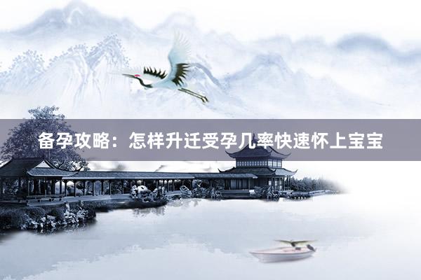备孕攻略：怎样升迁受孕几率快速怀上宝宝